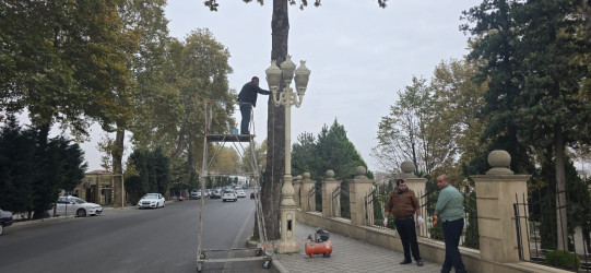 Tərtər şəhəri ərazisində növbəti iməclik aksiyası keçirilib