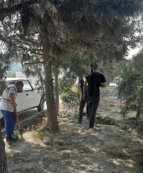 Tərtərdə “Yaşıl dünya naminə həmrəylik ili” çərçivəsində növbəti iməcilik aksiyası keçirilib