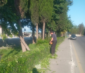 Tərtər şəhəri ərazisində növbəti iməclik aksiyası keçirilib