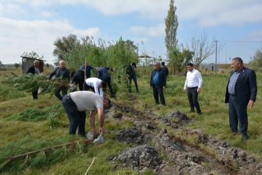 Tərtərdə "Yaşıl dünya naminə həmrəylik ili" çərçivəsində növbəti ağacəkmə aksiyası Poladlı kəndi ərazisində keçirilib