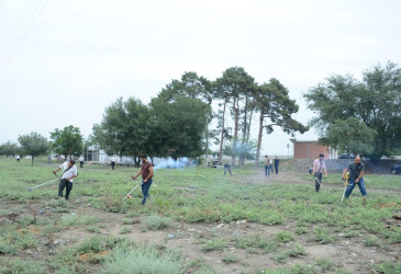 “Yaşıl dünya naminə həmrəylik ili” çərçivəsində növbəti iməcilik Bərdə-Ağdam avtomobil yolunun Tərtər rayonu ərazisindən keçən hissəsində keçirilib