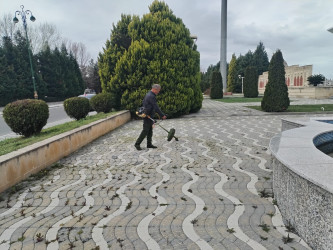 Tərtər şəhəri ərazisində iməclik aksiyası keçirilib