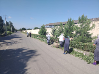 Tərtər şəhəri ərazisində iməclik aksiyası keçirilib