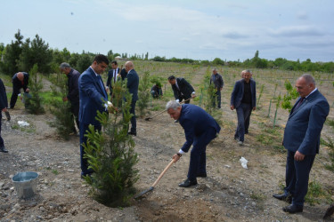 “Heydər Əliyev ili – 2023”: Milli Məclisin deputatlarının iştirakı ilə rayon icra hakimiyyətində “Heydər Əliyev və Azərbaycanda milli intibah dövrü” mövzusunda elmi-praktik konfrans keçirilib