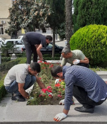 Tərtər şəhəri ərazisində növbəti iməclik aksiyası keçirilib