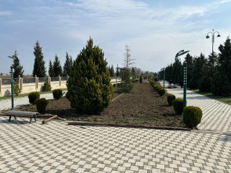 Tərtər şəhəri ərazisində iməclik aksiyası keçirilib