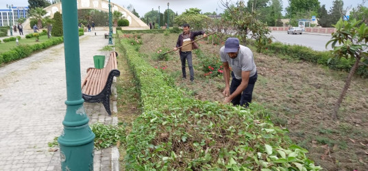 “Yaşıl dünya naminə həmrəylik ili” çərçivəsində Ana abidəsində və Bayraq meydanında  növbəti iməcilik keçirilib