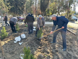 Tərtərdə şəhid Teyyub Həsənovun büstü ətrafında abadlıq və təmizlik işləri aparılıb