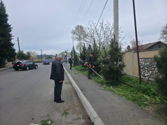 Tərtər şəhəri ərazisində iməclik aksiyası keçirilib