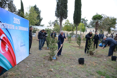 Tərtərdə “Konstitusiya və Suverenlik İli” çərçivəsində növbəti ağacəkmə aksiyası keçirilib