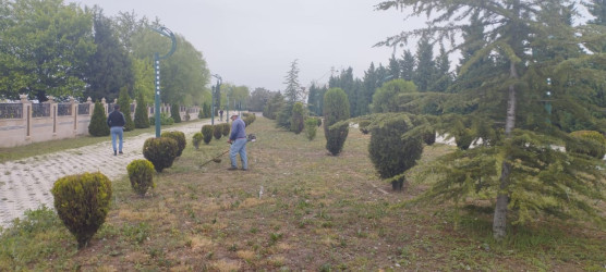 “Yaşıl dünya naminə həmrəylik ili” çərçivəsində Ana abidəsində və Bayraq meydanında  növbəti iməcilik keçirilib