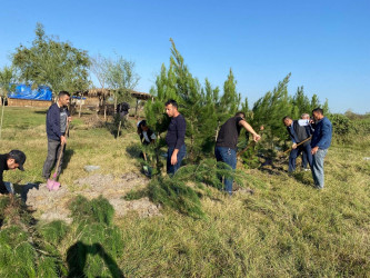 Tərtərdə "Yaşıl dünya naminə həmrəylik ili" çərçivəsində növbəti ağacəkmə aksiyası Mamırlı kəndi ərazisində keçirilib