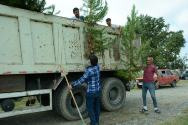 Tərtərdə "Yaşıl dünya naminə həmrəylik ili" çərçivəsində növbəti ağacəkmə aksiyası Poladlı kəndi ərazisində keçirilib