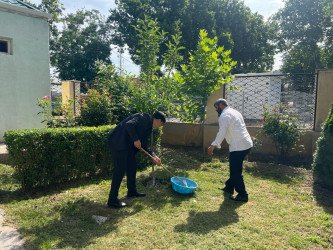 “Yaşıl gələcək naminə” adlı yaşıllaşdırma aksiyası davam etdirilib