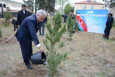 Tərtərdə “Konstitusiya və Suverenlik İli” çərçivəsində növbəti ağacəkmə aksiyası keçirilib