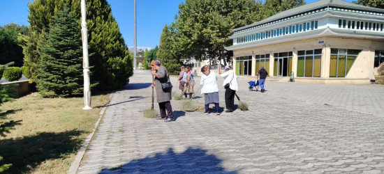Tərtər şəhəri ərazisində iməclik aksiyası keçirilib