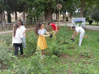 Tərtərdə Ulu Öndər Heydər Əliyev adına parkda “Yalnız bir DÜNYA” layihəsi çərçivəsində iməcilik keçirilib