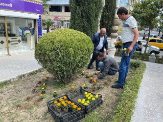 Tərtərdə “Heydər Əliyev İli” çərçivəsində Ulu Öndər Heydər Əliyevin abidəsinin ətrafına və Mərkəzi Meydana gül-çiçək kolları əkilib