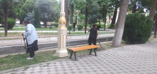 Tərtər şəhəri ərazisində iməclik aksiyası keçirilib