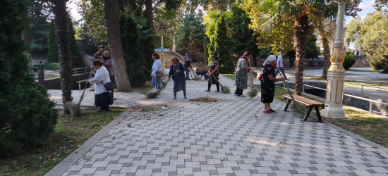 Tərtər şəhəri ərazisində iməclik aksiyası keçirilib