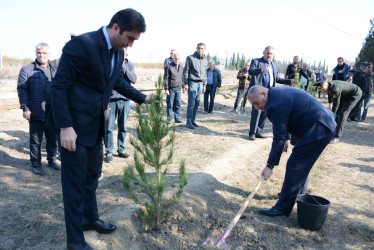 Tərtərdə 8 Noyabr Zəfər Gününün beşinci ildönümü ilə əlaqədar ağacəkmə aksiyası keçirilib
