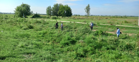 Tərtərdə “Yaşıl dünya naminə həmrəylik ili” çərçivəsində növbəti iməcilik aksiyası keçirilib