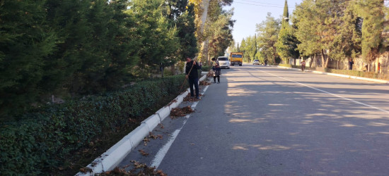 Tərtər şəhəri ərazisində iməclik aksiyası keçirilib