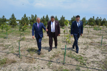 Tərtərdə “Heydər Əliyev İli” çərçivəsində Beynəlxalq Muzeylər Günü ilə əlaqədar “Heydər Əliyev və muzeylərimiz” adlı tədbir keçirilib