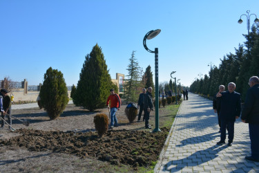 Tərtərdə “Heydər Əliyev İli” çərçivəsində növbəti iməcilik keçirilib