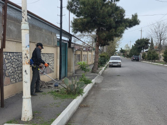 Tərtər şəhəri ərazisində iməclik aksiyası keçirilib