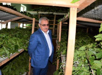 Tərtər Rayon İcra Hakimiyyətinin başçısı Seydimli və Hacıqərvənd kəndlərində barama istehsalının gedişi ilə tanış olub