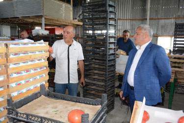 Rayon rəhbəri sahibkar Zəfər Nəsirovun müasir istixana kompleksi ilə tanış olub