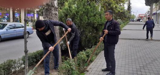 Tərtər şəhəri ərazisində iməclik aksiyası keçirilib