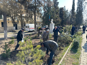 Tərtərdə şəhid Teyyub Həsənovun büstü ətrafında abadlıq və təmizlik işləri aparılıb