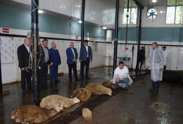 Tərtərdə Qurban Bayramı qeyd olunur