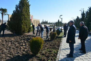 Tərtərdə “Heydər Əliyev İli” çərçivəsində növbəti iməcilik keçirilib