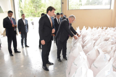 İcra başçısı Tərtər Bölgə Təcrübə Stansiyasında görülən işlərə baxış keçirib