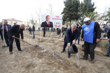 Tərtərdə “Heydər Əliyev ili” çərçivəsində növbəti ağacəkmə aksiyası keçirilib