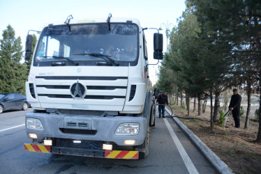Tərtərdə “Şəhərsalma və Memarlıq İli” çərçivəsində növbəti ağacəkmə aksiyası keçirilib