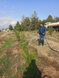 Tərtər şəhəri ərazisində növbəti iməclik aksiyası keçirilib