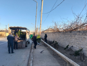 Tərtərdə 31 Dekabr – Dünya Azərbaycanlılarının Həmrəyliyi Günü münasibətilə ağacəkmə aksiyası keçirilib