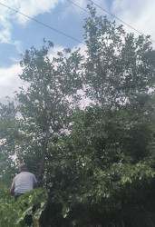 İcra başçısının qəbul görüşü zamanı qaldırılan məsələ öz müsbət həllini tapıb