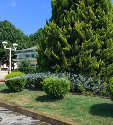Tərtər şəhəri ərazisində iməclik aksiyası keçirilib