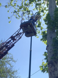 Sakinlərin müraciəti öz həllini tapıb