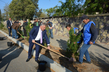 Tərtər Rayon İcra Hakimiyyətinin və YAP rayon təşkilatının birgə təşkilatçılığı ilə “Heydər Əliyev İli” çərçivəsində 8 Noyabr-Zəfər Gününə həsr olunmuş ağacəkmə aksiyası keçirilib