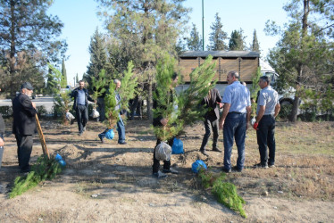 Tərtərdə “Konstitusiya və Suverenlik İli” çərçivəsində 27 sentyabr Anım gününün beşinci ildönümü ilə əlaqədar ağacəkmə aksiyası keçirilib