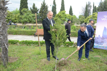 Tərtərdə “Şəhərsalma və Memarlıq İli” çərçivəsində Ulu Öndərin anadan olmasının 103-cü ildönümü ilə əlaqədar ağacəkmə aksiyası keçirilib