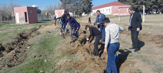 Tərtərdə "Yaşıl dünya naminə həmrəylik ili" çərçivəsində növbəti ağacəkmə aksiyası Borsunlu kəndi ərazisində keçirilib