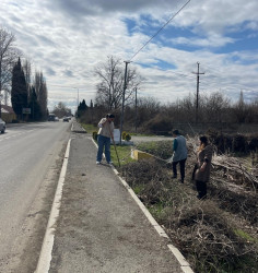 Seydimli kəndində ağacəkmə və təmizlik aksiyası keçirilib