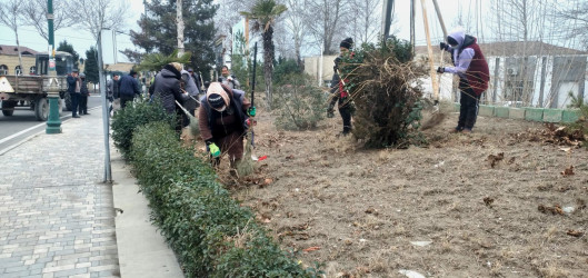 Tərtər şəhəri ərazisində abadlıq və təmizlik aksiyası davam etdirilir